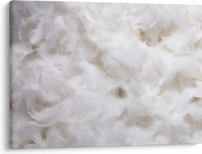 Kép - Fehér tollak (70x50 cm)