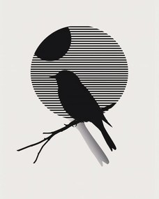 Poszter 40x50cm Kontraszt Karcsúság