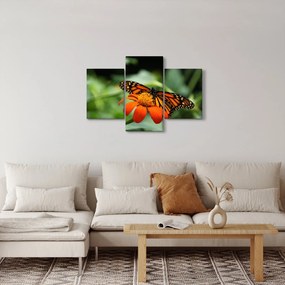 Pillangó képe a virágon (90x60 cm)