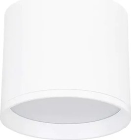 NOVALUCE-9030729 Ziaza hengeres mennyezeti lámpa fehér 1x10W IP20