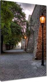 Vászonkép 80x120 Csendes zak