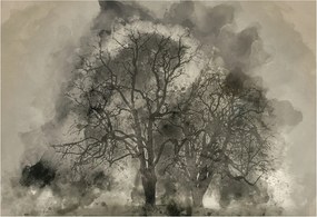 Fali fotótapéta előszoba konyhába Rejtélyes fák 152x104 Ragasztó