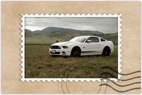 Poszter 60x40 Fehér Ford Mustang