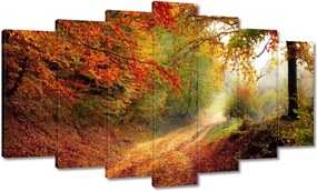 Képek 140x80 Út az erdőben ősz