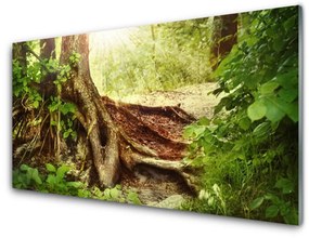 Üvegkép Fatörzs-erdő Természetvédelmi 140x70 cm