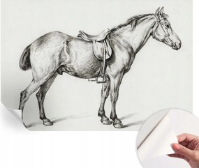 Fotótapéta Fali tapéta Hálószobába és Nappaliba Ló vázlat 152x104 cm