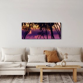 Kép - Fák naplementében (120x50 cm)