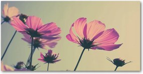 Fotó vászonkép edzett üveg Rózsaszín virágok 140x70