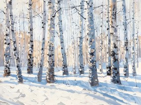 Vászonkép Canvas Tájkép Erdő Park Nyírfák Tél Hó 100x75