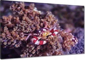 Vászonkép 120x80 Kék tengeri világ