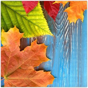 Poszterek 30x30 Színes őszi levelek