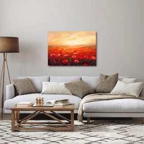 Kép - Mező pipacsok (70x50 cm)