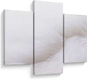 Kép - Fehér toll (90x60 cm)
