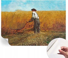 Modern öntapadós fotótapéta falra Szüret a napsütésben 312x219 cm