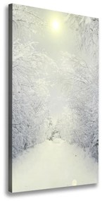 Feszített vászonkép Erdőben télen ocv-103882841