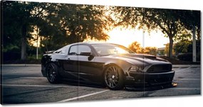 Vászonkép 180x90 Fekete fenevad Mustang