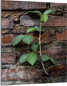 Üveg Vágódeszka 40x52 Tégla Konyha