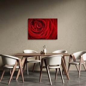 Kép - részlet a rózsáról (üvegen) (70x50 cm)