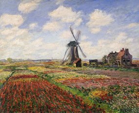 Claude Monet - Festmény reprodukció Tulip Fields with the Rijnsburg Windmill, 1886, (40 x 35 cm)