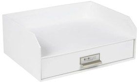 Karton fiókos rendszerező dokumentumokhoz Walter – Bigso Box of Sweden