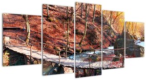 Kép - ősz, út, erdő (150x70cm)