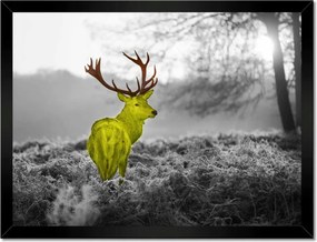 Poszter keretben 40x30 Sárga szarvas Erdő Tájkép
