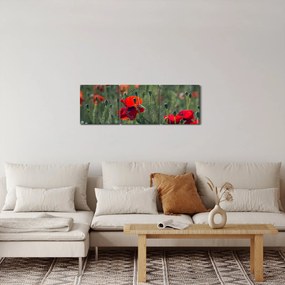 Kép - Rét mák virággal (órával) (90x30 cm)