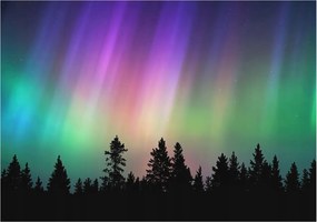 Fotótapéta Fali ragasztó szett Varázslatos égbolt 208x146 Ragasztó