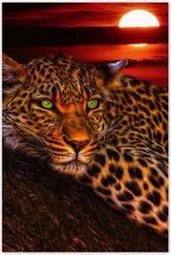 Poszterek 80x120 Leopárd párduc