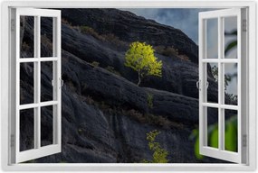 Plakátok 120x80 Fák megtekintése