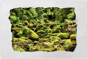 Poszterek 120x80 Tátra Lengyel hegyek Kilátás