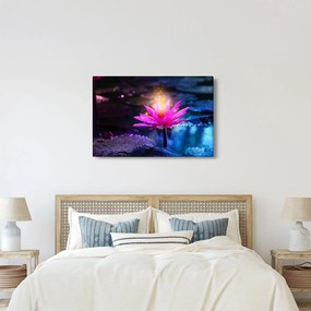 Tavirózsa a vízen képe (90x60 cm)