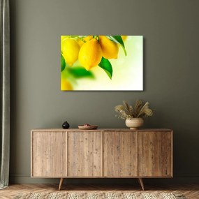 A citrom képe (90x60 cm)