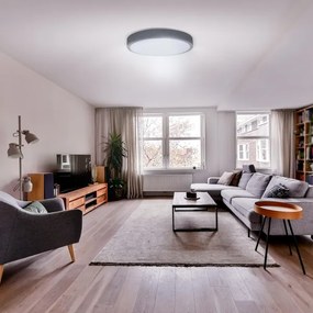 Solight WO8002 - LED dimmelhető lámpa SZÜRKE LED/60W/230V 3000-6500K, 49 cm, DO