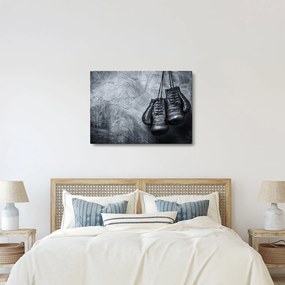 Kép - Bokszkesztyű (70x50 cm)