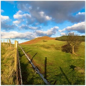 Poszterek 30x30 Tájkép réttel