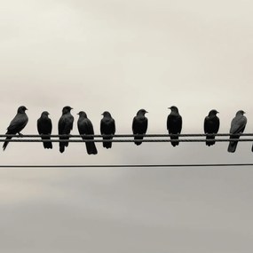 Poszter 40x40cm Konferencia a Magasságban