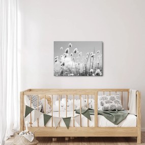 Kép - Boho nyuszi farok fű (70x50 cm)