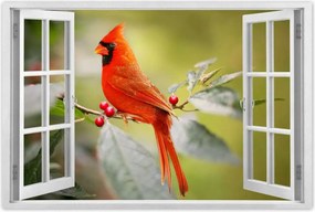 Poszterek 90x60 Madarak