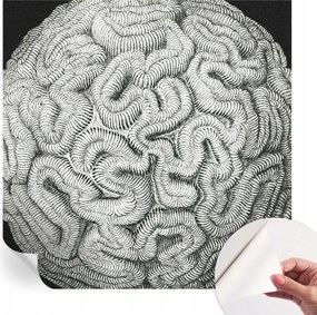 Divatos öntapadós tapéta Fali furnér Gömb alakú szerkezet 250x250 cm