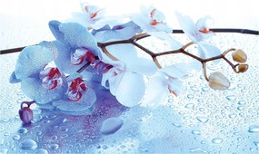 Fotótapéta Orchideák elegancia és nyugalom vinil 208x146 +ragasztó