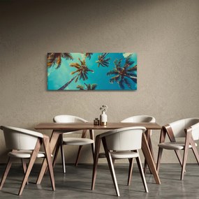 Kép - Magas pálmafák (120x50 cm)