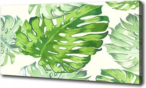 Vászonkép Trópusi levelek 100x70 cm