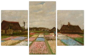 Kép - Vincent van Gogh, Flower Beds in Holland, reprodukciók (90x60 cm)