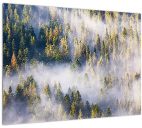 Fák képe a ködben (üvegen) (70x50 cm)