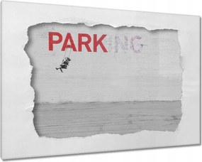 Vászonkép 90x60 Banksy Parkoló