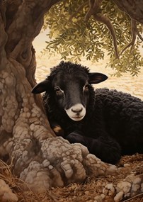 Poszter 29,7x42cm Nyugalom a sötétben