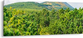 Kép - Babi Hora, Lengyelország (120x50 cm)