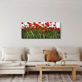 A pipacsok képe a szélben (120x50 cm)