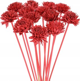 Virág Shola Cinnia piros a csúcson szárított egzotikus szárított virágok